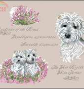 DMC K4638 The Pollyanna Pickering Collection -  The West Highland White Terrier XSD