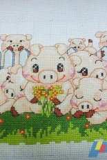 Pig family