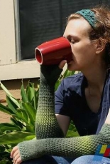 Roving Crafters-Mellow Mitts by Jen Zeyen-Free