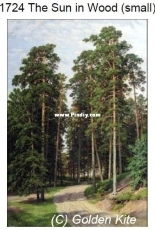 Golden Kite GK 1724 - The Sun in Wood (Small) XSD