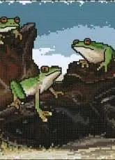 Country Threads FJ-1048 Frogs in Boots