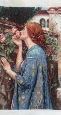 Soul of the Rose