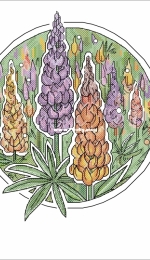 Lupine by Alisa Okneas xsd