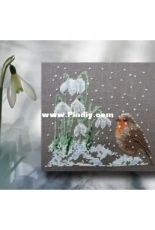 Martine Rigeade 1029 - Les perce Neige XSD