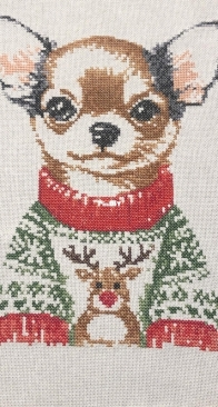 chihuahua with xmas sweater - los disenos de inma