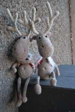 My favorite deer