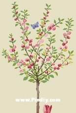 Eva Rosenstand & Clara Weaver 8-2864 Japanese cherry blossom