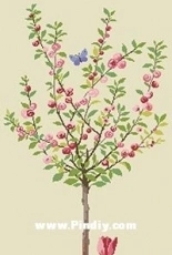 Eva Rosenstand & Clara Weaver 8-2864 Japanese cherry blossom