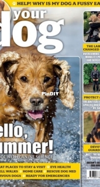 Your Dog - May 2026