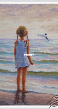 RTO M999 Where Are The Dolphins? XSD