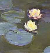 Classic Cross Stitch   FR387 Waterlillies
