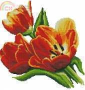 Tulips - Coricamo 8275
