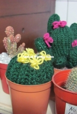 knitted cactus 5