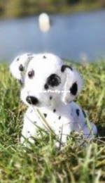 TatyanaKo - Tatyana / Tatiana Korotkikh - Dalmatian Puppy - Татьяна Коротких - Щенок далматина - Russian