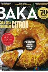 BAKA-N°1-2016-Svenska