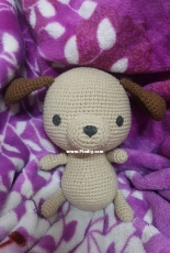 Babo Puppy