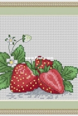 Strawberry by Nadezhda Mashtakova