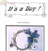 The Silver Lining SL45 Its A Boy!