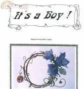 The Silver Lining SL45 Its A Boy!