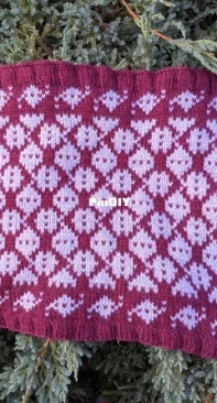 Scypa Cowl by Vikki Perkins-Free