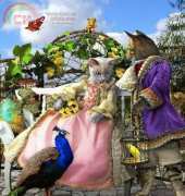 HAED HAEBBS 103 Garden Lovers by Baba Studios