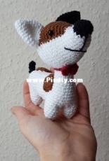 Jack Russel