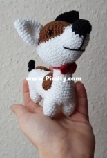 Jack Russel