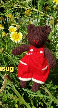 little bear for a friend