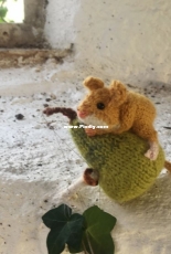 Dormouse on a Pear by Claire Garland