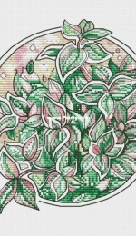 Tradescantia by Alisa Okneas