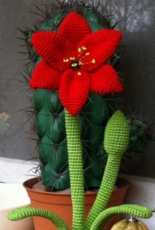 Speckerna- Kerstin Batz- Amaryllis- German - Free