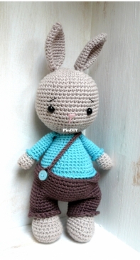 Little bunny boy