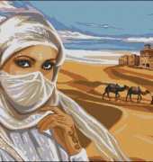 Desert