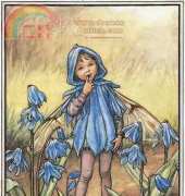 DMC K5445 Flower Fairies - The Scilla Fairy
