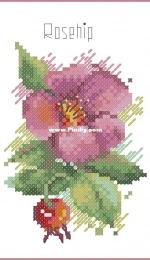 Rosehip by Anna Petunova XSD