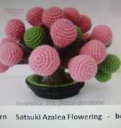 Cottonflake - Daniela Duma -  Satsuki Azalea Flowering