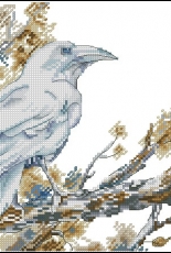 White Raven by Alisa Okneas
