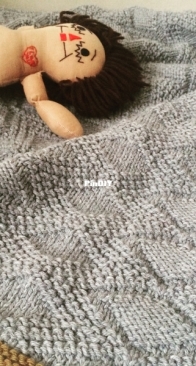 Mose Blanket by Melissa LaBarre