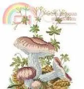 Eva Rosenstand 12-632 Russula vesca