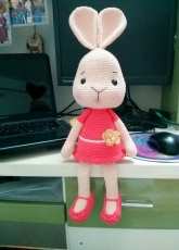 cute rabbit