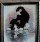 Kitten and reflection