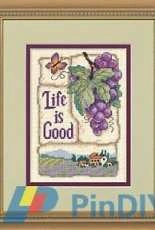 Dimensions 16752 Life is Good XSD