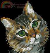 Riolis 766 Cat