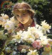 Golden Kite 2433 - Peonies