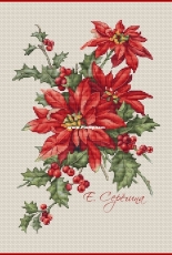 Poinsettia by Ekaterina Seryogina
