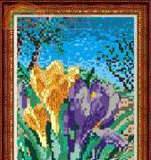 Megat 293 Crocus