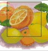 Citrus Lemons 2487