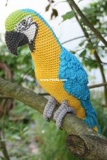 CAROcreated - Carola Herbst - Blue and yellow Macaw - French