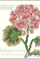 Serendipity Designs Floral Elegance Collection - L-204 Pelargonium