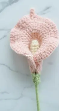 Hookok - Elaine and Jennie - calla lily - Free